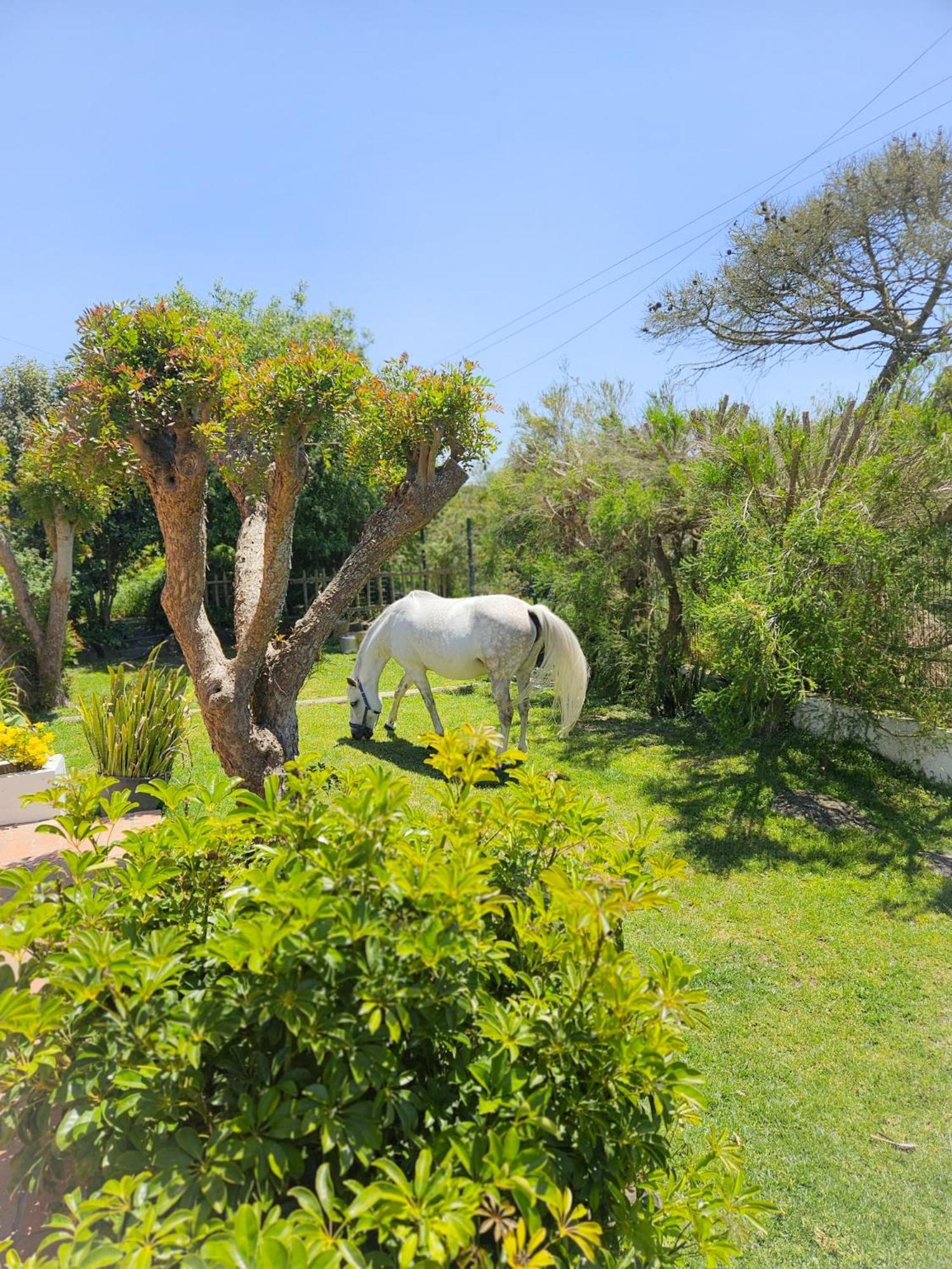 Casa Seahorses B Cottage Sintra Exterior foto
